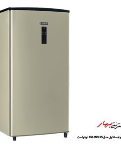 فریزر ایستکول مدل TM-999-95