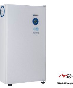 یخچال 5 فوت ایستکول مدل TM-642-80