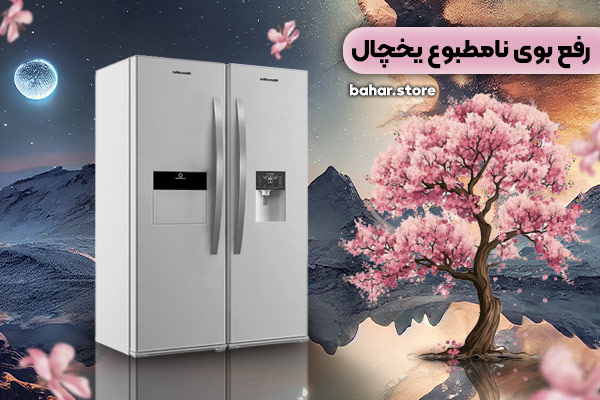 بوی یخچال هیمالیا