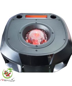 باند و اسپیکر دیجی ویکر مدل Y4 12