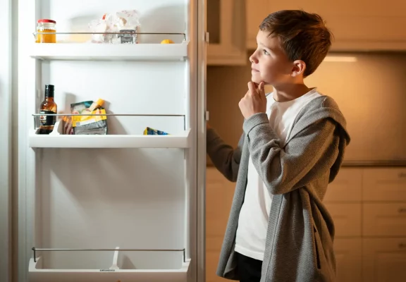 الکترواستیل از نگاه کاربران؛ آیا این یخچال مناسب شماست؟